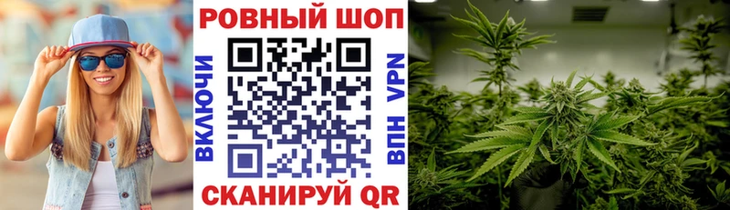 ГАШ Разумное