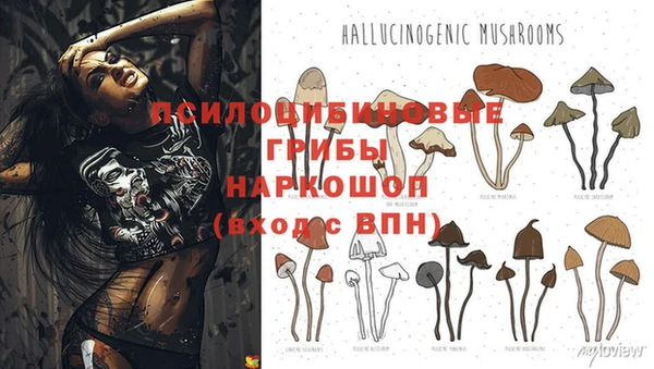 ешки Навашино